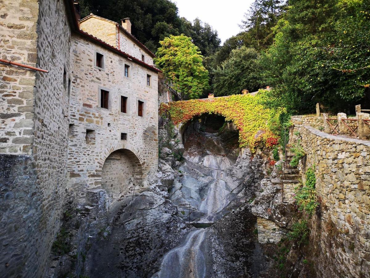 Hotel Borgo Il Melone Cortona Exterior foto